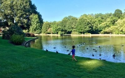 Freedom Park, NC